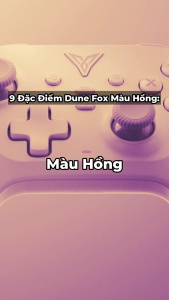[Chính Hãng] [BH12T] Flydigi Dune Fox Màu Hồng | Tay cầm chơi game Wireless hỗ trợ đa nền tảng PC / Switch / Mobile