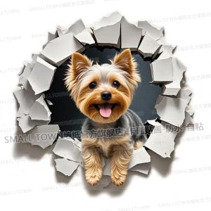 Decals 3D Túi Xếp Ly Xưa Hình Đồ Động Trang Trí Mái Nhà Màn Hình Ô Tô Túi Xếp Ly Xưa Decals Trang Trí Mái Nhà