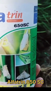 ALFATRIN 650 SC KEMASAN 1 LITER Insektisida Bahan Aktif Sipermetrin 100g/l Dimehipo 550g/l