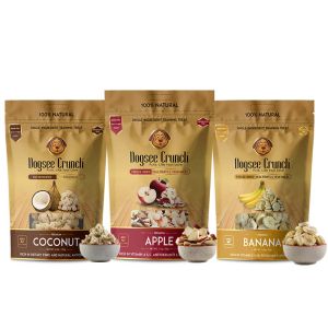 [Bundle Of 5] Dogsee Human Grade Crunch Freeze-Dried Apple/ Banana/ Coconut/ Mango/ Papaya Dog Treats 15g - kcpetsg