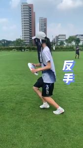 Piring Terbang / Professional Flying Disk/Mainan Piring Terbang Frisbee untuk Outdoor