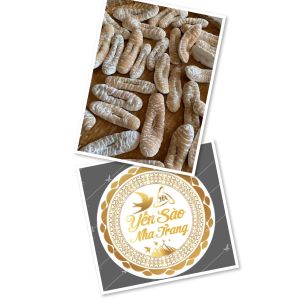 [đặc sản nha trang] 200g hải sâm hài trắng_dùng đế ngâm thuốc