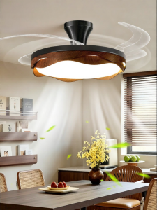 DGY | Ceiling Fan Light Full Spectrum Eye Protection