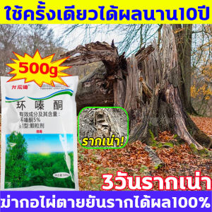 10 ปี ยากำจัดต้นไม้ สารกำจัดก่อไผ่ สามารถกำจัดกอไผ่ 10 สมบูรณ์ยากำจัดต้นไม้ รากเน่าเสีย ตรงไปที่ราก ไม่ต้องผ่าตัด สำหรับการกำจัดต้นไม้ บอกลาการตัดต้นไม้ด้วยตนเอง