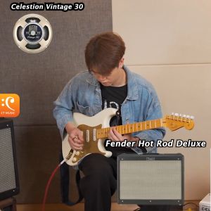 Celestion Vintage 30 8 ohm / 16 ohm: คำนำ รูปแบบ ดอกลำโพง ร่วมกัน 8 อารมณ์ และ 16 อารมณ์
