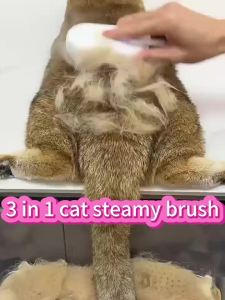 Pet Steam Hair Comb Brush with Spray for Cats and Dogs - USB Powered Soft Massage Comb