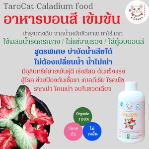 อาหารบอนสี ราคาที่โชว์ ของ TaroCat ทาโร่แคท ซึ่งเป็นอาหารทั้งนี้ ใช้รดกระถาง หรือ แช่ในจานรอง ใช้ปุ๋ยบอนสี ที่มีคุณภาพและดีไซต์ใหม่