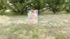 WATINC Happy Birthday Garden Flag: Perfect Indoor & Outdoor Party Decorations