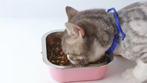 ชามสแตนเลส ชามอาหารสุนัข และ แมว ยางกันลื่น ทรงสี่เหลี่ยม