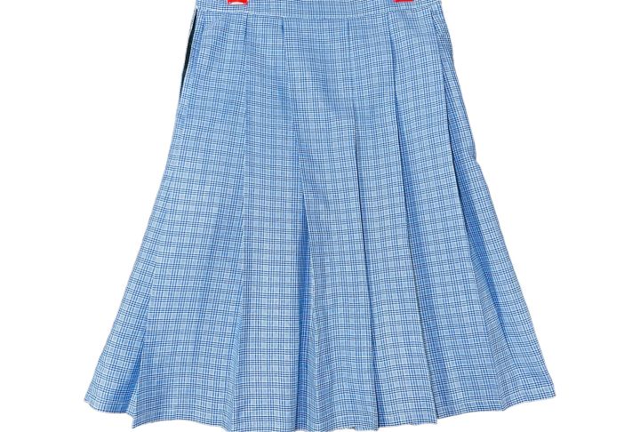 Pleated skirt - Light blue - Ladies | H&M IN-seedfund.vn