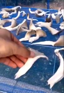 Folded Sun-Cured Fish Net Fishing Drying Cage Mosquito And Insect Prevention Fishing Drying Cage Mosquito prevention