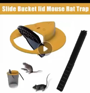 💥Automatic Flip Rat Trap💥 Mouse Trap For Big Rats Rat Trap Bucket Smart mouse trap Plastic cover is automatically reset flip Mouse catcher trap Safe and nontoxic Auto Reset Super Sensitive Automatic Flip