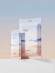 SHI YUE JIE JING | Maternity Use Long Sanitary Paper 1 Bag
