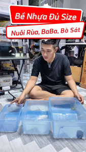 Bể Nhựa Nuôi Rùa Baba Thú Cưng (24x16x11cm)