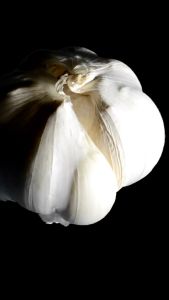 กิฟฟารีน การ์ลิซีน ขนาด 100 แคปซูล กระเทียมแคปซูล กระเทียมสกัด ภูมิแพ้ หวัด ไขมัน ความดัน เบาหวาน หัวใจ