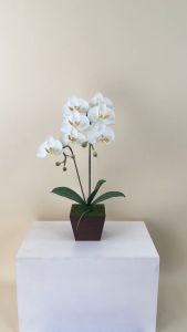 กระถางกล้วยไม้ประดิษฐ์ ดอกไม้ปลอมพร้อมกระถาง