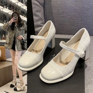 French Mary Jane Womens Shoes Retro Buckle Thick Heel High Heel Fashionable Single Shoes Spring Autumn New Style Small Fragrance