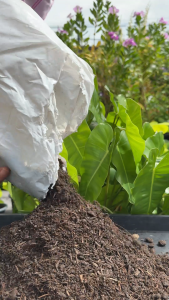 เอ็นกรีน ดินปลูก สารอาหารครบ พืชโตเร็ว ใช้ได้ทันที หมักนาน 2 เดือน l Engreen