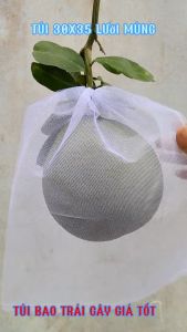100 cái 35x40cm TÚI LƯỚI TỐT BỌC BƯỞI DƯA LƯỚI... - VẬT TƯ NÔNG NGHIỆP