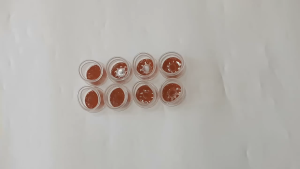 8PCS Alas Pelindung Kaki Meja Kursi Bahan Silikon Pelindung Kaki Meja Silicone Mudah Dibersihkan Dapat Digunakan Berulang Kali