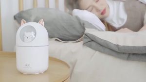 With Colorful Atmosphere Light Portable Ultra-Silent Car Air Humidifier  Desktop Humidifier 250ml