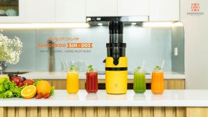 Máy Ép Chậm HAWONKOO SJH-002 200W 800ML Hàng Chính Hãng Bảo Hành 12 Tháng - Thương Hiệu Hàn Quốc