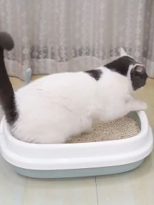Large Litter Box for Cats: A Comprehensive Guide
