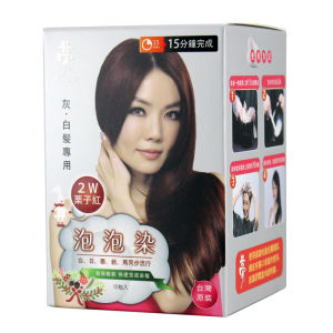 Morn17 Taiwan Dream 17 Bubble Dye Pure Plant-Based Hair Coloring Foam Covers Gray Hair 10 Packs Long-Lasting Shine Glossiness