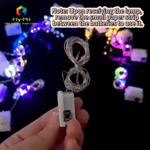 Flyph （Built-in battery）1M/2M/3M 3 modes LED string lights  water-proof Bouquet Christmas gift