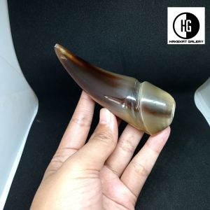 klokotan pipa once tanduk kerbau bule model unik spesial h144