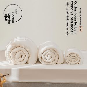 Deesse | Ruột Chăn Bông 100% Dày Loại A Bốn Mùa