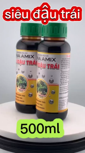 (bổ sung dinh dưỡng cây măng cụt) Bộ đôi phun qua lá Chống rụng bông và rụng trái non - Cây măng cụt đang có bông cần dưỡng bông và trái non măng cụt