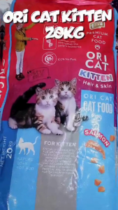 Ori cat Kitten 20kg