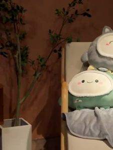 411: Cute Office Nap Blanket & Two-In-One Car Carrier