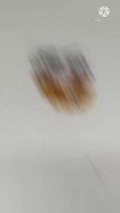 Bauk Cakram Probolt Gepeng Stainless Gold Bintik