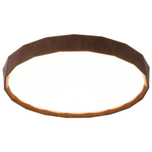 DGY | Retro & Modern Eye-protection Ceiling Light