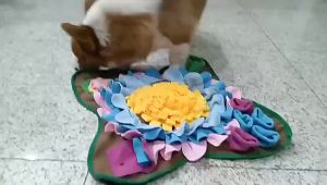 GREENPETS Sniffing Mat for Dogs/Cats Foraging Toy Sunflower Design Slow Feeder Stress Relief Training Mat