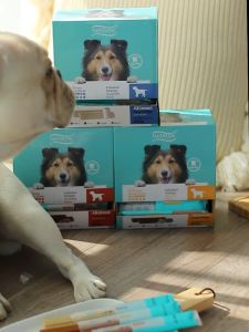 Natruse Tooth Brush Pet Treats Dental Sticks(1 pcs = 20g)