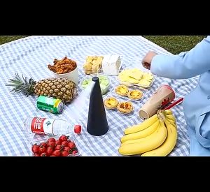 【Efficient】Mosquito Repellent Fan Leaf Repeller halau lalat Automatic Fly Trap Killer Tabletop Device Catcher Pest Outdoor Flies Bugs Repellant