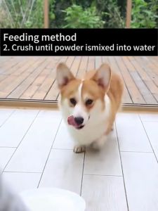 JEDY 8 Tablets/Box Pet Albendazole Dewormer Tablets for Dogs and Cats Deworming Treatment for Kitten and Puppy