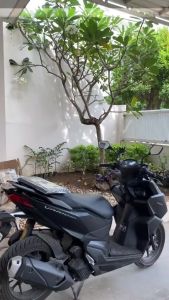 Cover Motor Honda / Cover Motor Indoor Semua Jenis Motor / Cover Motor Universal / Jas Motor Indoor / Sarung Motor / Tutup Motor