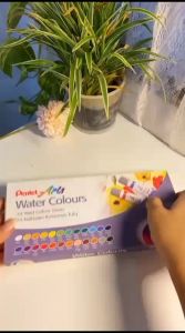 Cat Air Pentel Arts 24 Water Colours (WFRS-24)