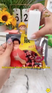 Snack Sealer /Mini Hand Sealer/ Portable Sealer/ Pengemas Makanan Press /Kemasan Plastik Snack Elektrik/ USB Rechargeable