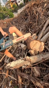 Máy Cưa Xích Chạy Xăng BOSHUN BS-CX16 Lam xích dài 16INCH Bơm nhớt tự động - Động Cơ Xăng 2 Thì