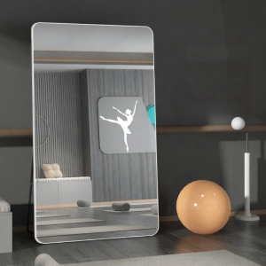 Dance Specific Mirror moveable wall-mount