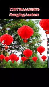 CNY 2025 Chinese NewYear Decorations Hanging Lanterns Price is Per Pair 蛇年墙贴2025 挂饰 装饰 灯笼 新年灯笼 黄梨 饰品