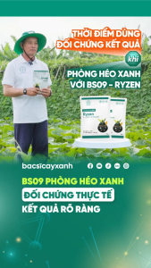 BS09 Ryzen Xử Lý Nấm Đất Héo Xanh Thối Rễ Rau Màu - Phục Hồi Rễ Cây Yếu Vàng Lá - Bác Sĩ Cây Xanh