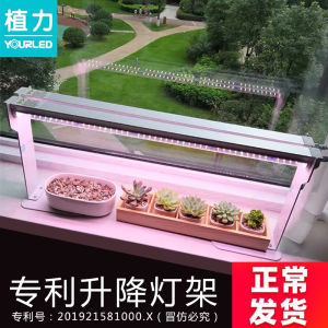 Planting Power LED Full Spectrum Succulent Fill Light Anti-Overlong Coloring Plant Growth Photosynthesis For Home Imitation Sun
