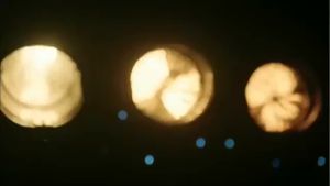 Viva White Tropical Bright Body Creme: Krim Pemutih Alami untuk Kulit