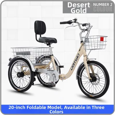 Speed-Adjustable Elderly Tricycle